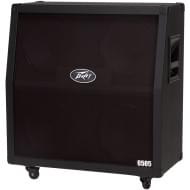 PEAVEY 6505 Slant Cabinet